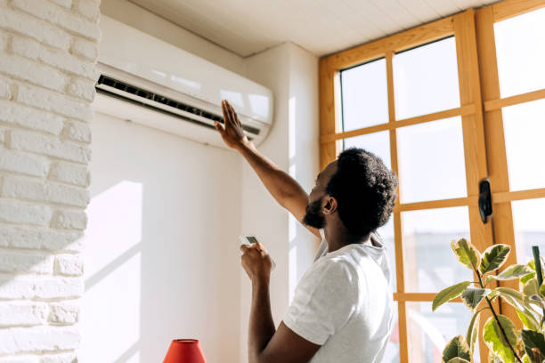 Best Ductless Mini-Split Systems in Bridgeport, MI